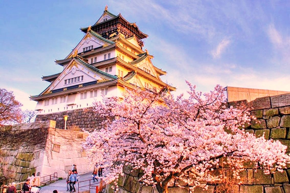 TOUR 6N5Đ NHẬT BẢN MÙA HOA ANH ĐÀO 2026 (NGO - HND): HÀ NỘI - NAGOYA - NARA - OSAKA - KYOTO - NÚI PHÚ SĨ - TOKYO - NGẮM HOA ANH ĐÀO BAY VN